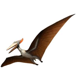 dinosaurio-volador-pteranodon.jpg