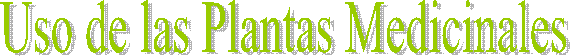 Uso de las Plantas Medicinales