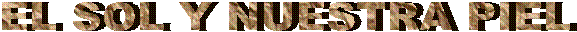 EL SOL Y NUESTRA PIEL